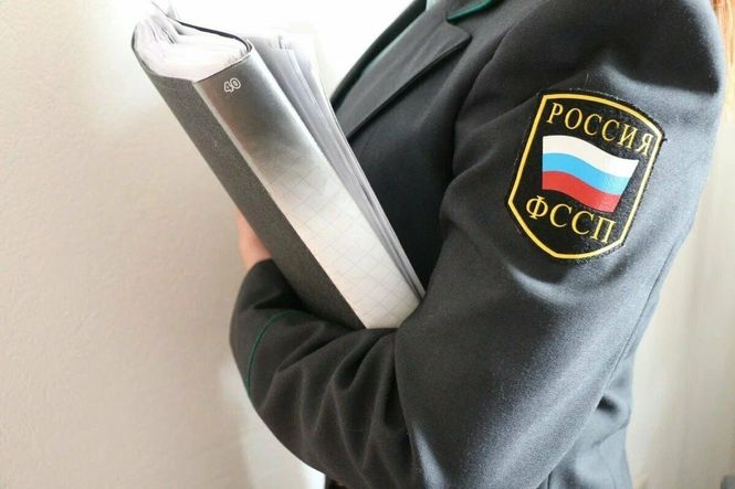 ФССП возьмет под контроль деятельность микрофинансовых организаций по возврату долгов
